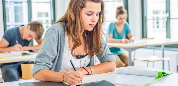 What is Essay Writing Ability? Know All About It!